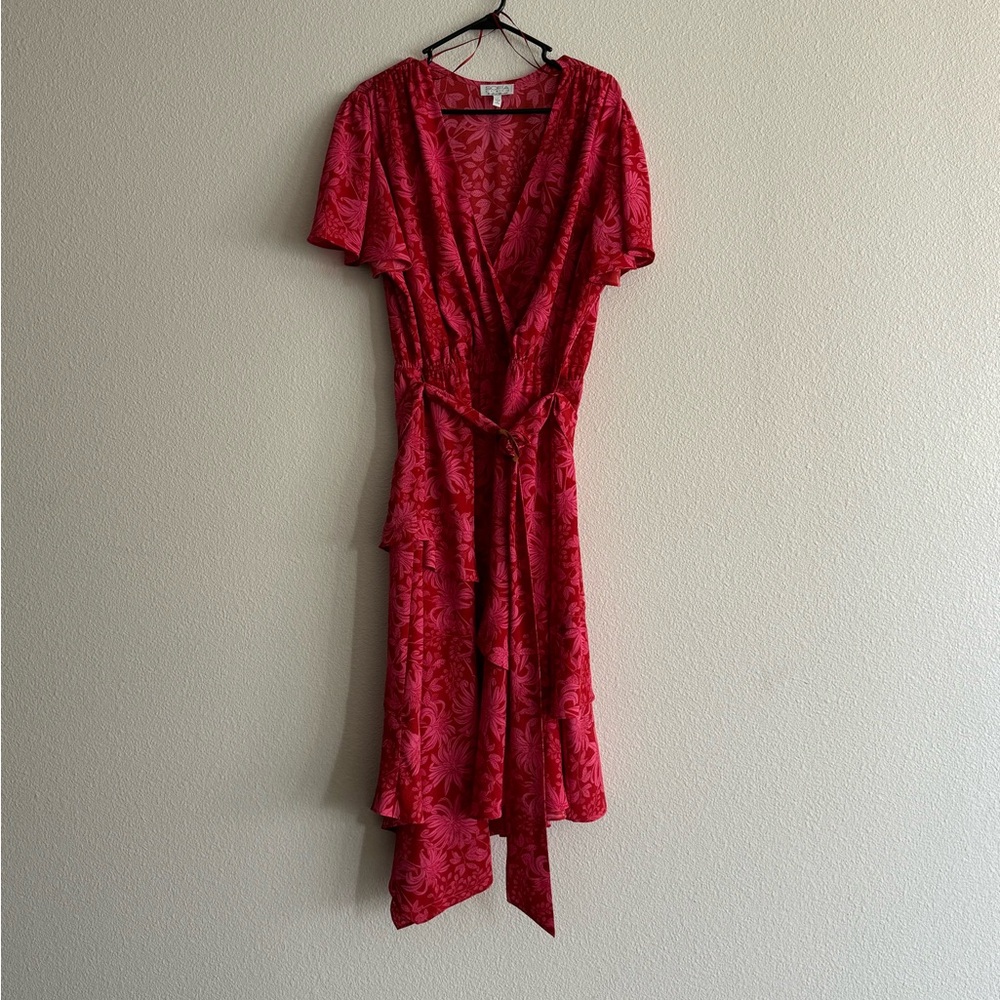 Gently used Sofia Pink Dress -1X